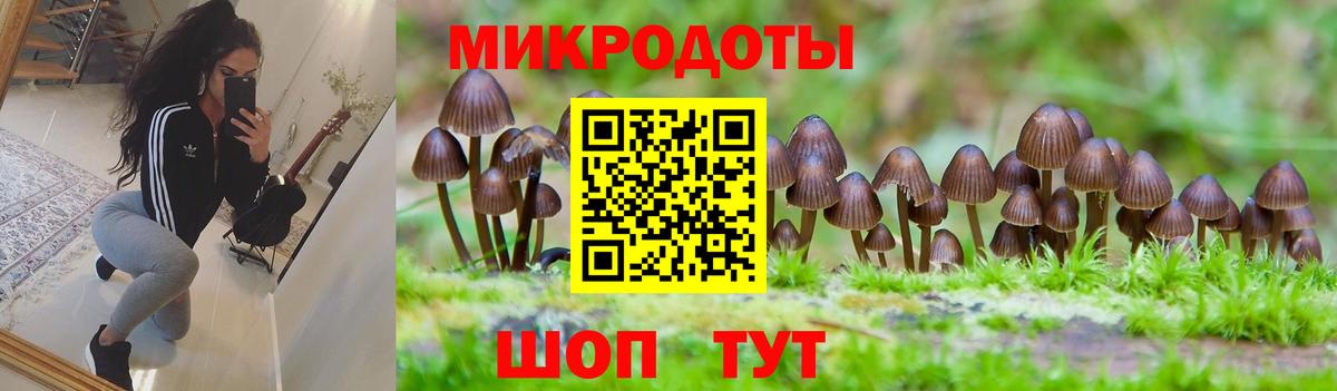 Псилоцибиновые грибы Psilocybine cubensis  Галлюциногенные грибы Psilocybine cubensis  Вход с VPN  Чехов 